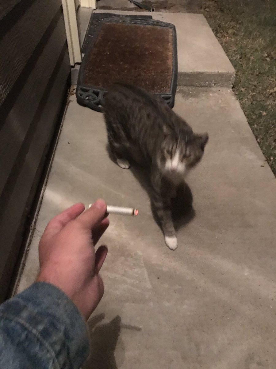 Image posted by Shepado